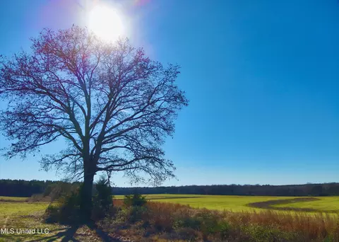 Newport Road, Lexington, MS 39095