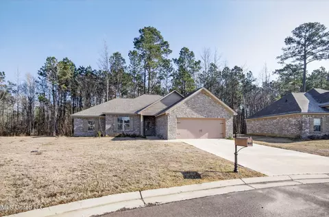 154 Shelby Mae Cir, Brandon, MS 39042