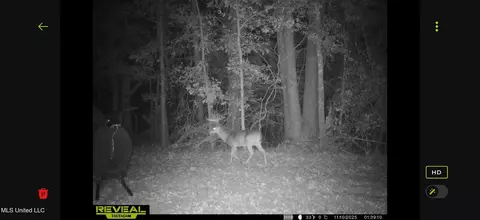 0 Morton-rankin County Line Rd, Morton, MS 39117