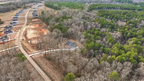 View/Area - 922 Mullican Rd, Florence, MS 39073 photo 1 of 4