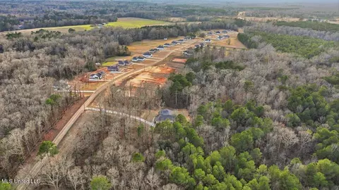 View/Area - 922 Mullican Rd, Florence, MS 39073 photo 4 of 4