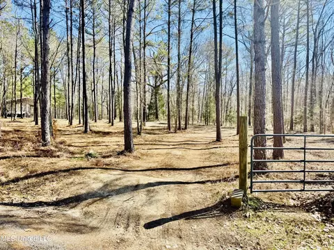 104 Mamie Mangum Rd, Florence, MS 39073