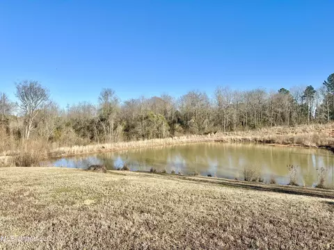 View/Area - 391 Scr 62, Magee, MS 39111 photo 1 of 1