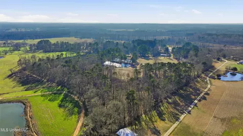 254 Red Allen Rd, Brandon, MS 39042 photo 25