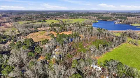 254 Red Allen Rd, Brandon, MS 39042 photo 7