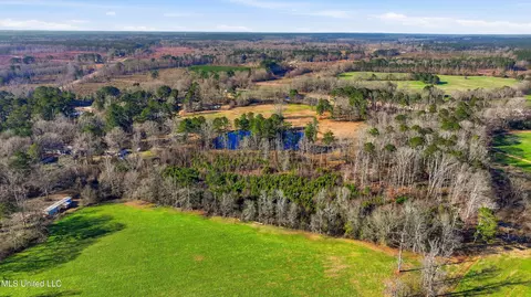 254 Red Allen Rd, Brandon, MS 39042 photo 11