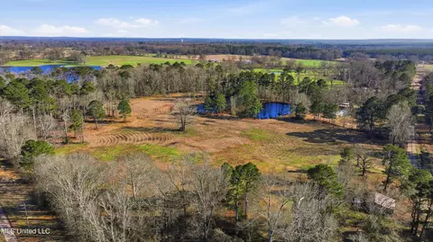 254 Red Allen Rd, Brandon, MS 39042 photo 22