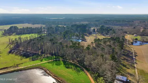 254 Red Allen Rd, Brandon, MS 39042 photo 29