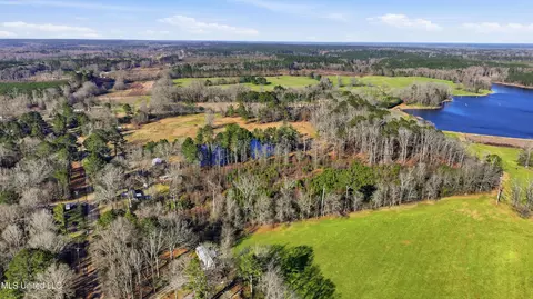 254 Red Allen Rd, Brandon, MS 39042 photo 19