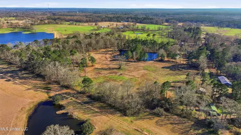 254 Red Allen Rd, Brandon, MS 39042 photo 21