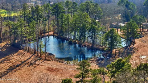 254 Red Allen Rd, Brandon, MS 39042 photo 13