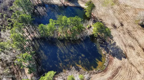 254 Red Allen Rd, Brandon, MS 39042 photo 20