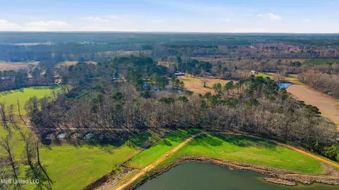 254 Red Allen Rd, Brandon, MS 39042 photo 28