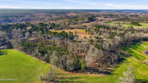 254 Red Allen Rd, Brandon, MS 39042 photo 23