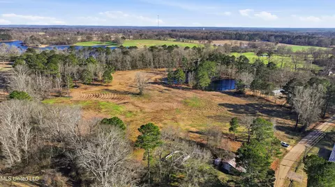 254 Red Allen Rd, Brandon, MS 39042 photo 10