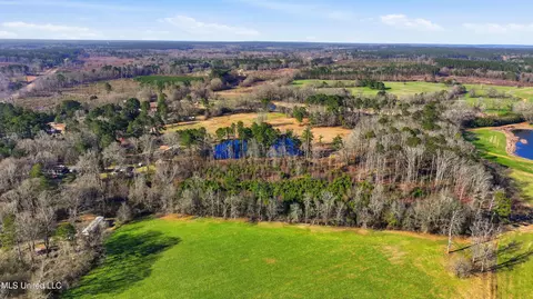 254 Red Allen Rd, Brandon, MS 39042 photo 5