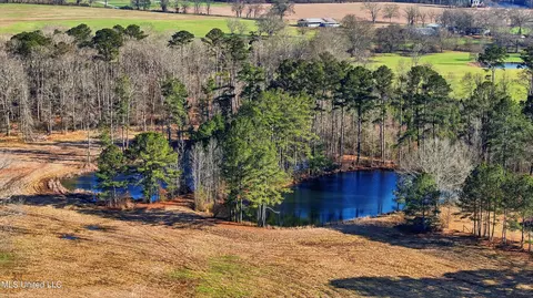 254 Red Allen Rd, Brandon, MS 39042 photo 12