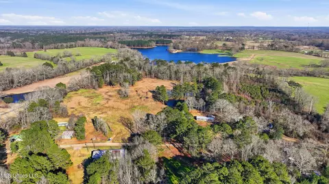 254 Red Allen Rd, Brandon, MS 39042 photo 9