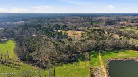 254 Red Allen Rd, Brandon, MS 39042 photo 27