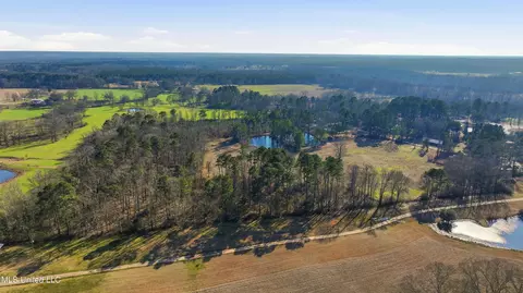 254 Red Allen Rd, Brandon, MS 39042 photo 4