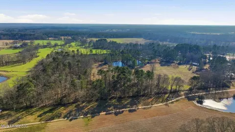 254 Red Allen Rd, Brandon, MS 39042 photo 2