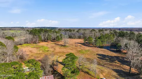 254 Red Allen Rd, Brandon, MS 39042 photo 26