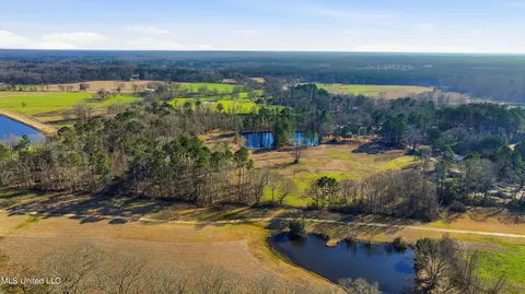 254 Red Allen Rd, Brandon, MS 39042 photo 24