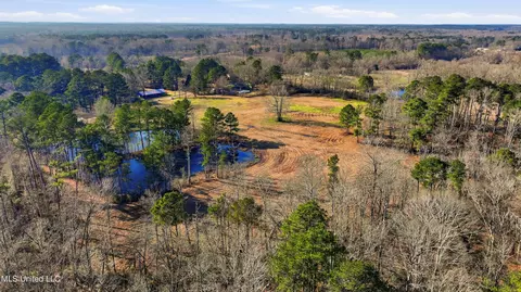 254 Red Allen Rd, Brandon, MS 39042 photo 17