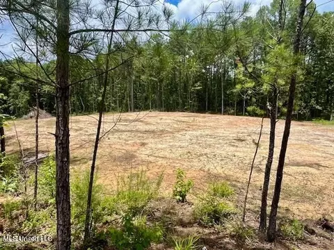 278 Poplar Springs Rd, Mendenhall, MS 39114