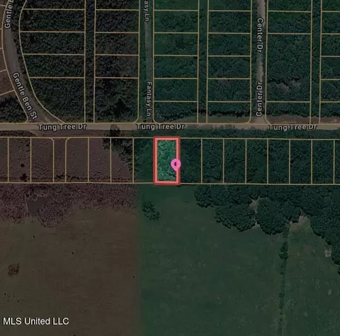 00 Tung Tree Dr, Lumberton, MS 39455