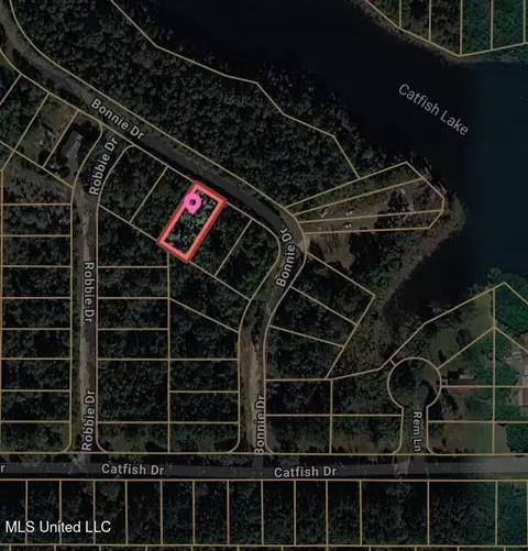 00 Bonnie Dr, Lumberton, MS 39455