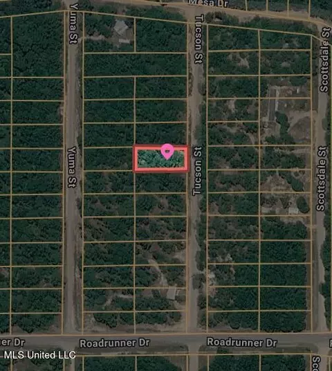 00 Tucson St, Lumberton, MS 39455
