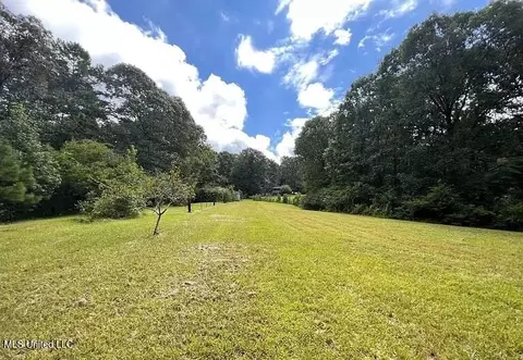 119 Spruce Dr, Pinola, MS 39149