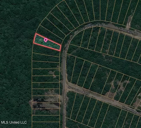 00 Timberbluff Dr, Lumberton, MS 39455