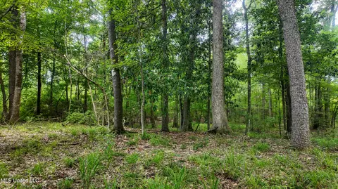 Mississippi 570, Summit, MS 39666 photo 6
