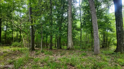 Mississippi 570, Summit, MS 39666 photo 5