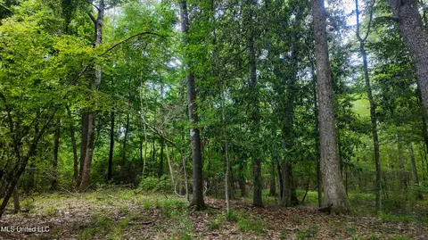 Mississippi 570, Summit, MS 39666 photo 7