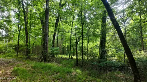 Mississippi 570, Summit, MS 39666 photo 8