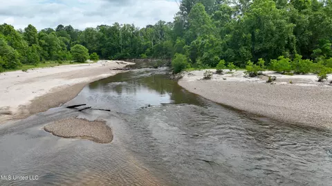 Mississippi 570, Summit, MS 39666 photo 14