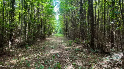 Mississippi 570, Summit, MS 39666 photo 3