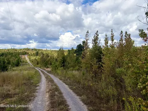 3438 Cr-3027, Kosciusko, MS 39090