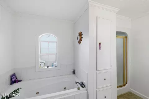 Bath - 111 Corley Cir, Brandon, MS 39042 photo 4 of 6