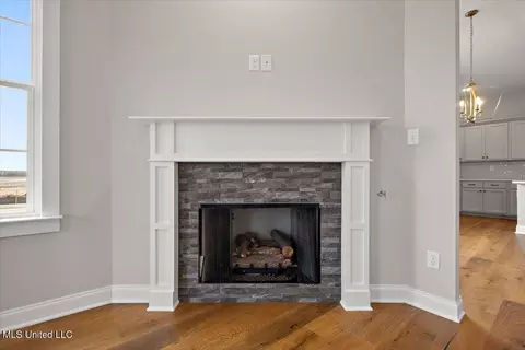 Entry Way - 526 Bolivar Dr, Nesbit, MS 38651 photo 2 of 2