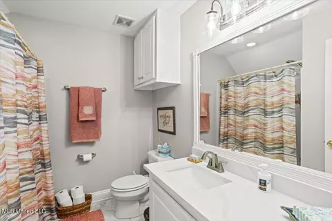 Bath - 108 Pointe Dr, Summit, MS 39666 photo 4 of 4