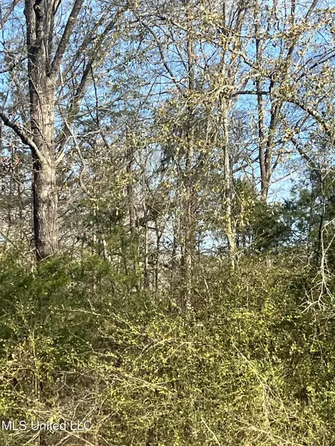 0 Adams Station Rd, Utica, MS 39175