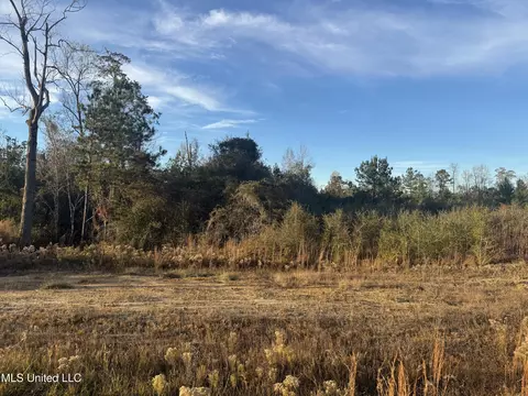 8 Acres Parker Rd, Mchenry, MS 39561