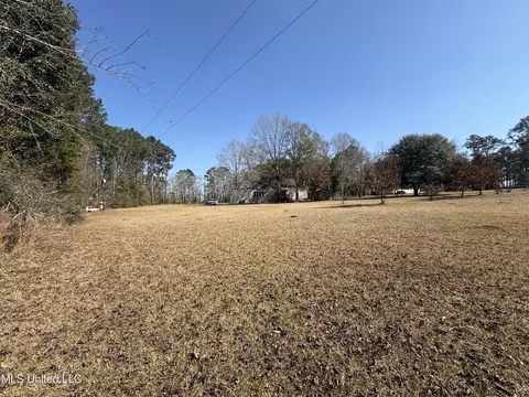 91 Trace Rd, Monticello, MS 39654 photo 23