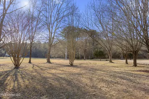 Exterior - 169 Shenandoah Dr, Florence, MS 39073 photo 7 of 8