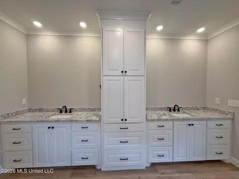 Bath - 322 Tremont Dr, Florence, MS 39073 photo 2 of 6
