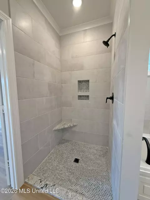 Bath - 322 Tremont Dr, Florence, MS 39073 photo 1 of 6